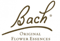 Logo Bach