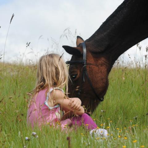 meisje met paard in de wei