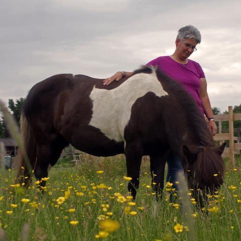 mariska stenzler Paardenluxes