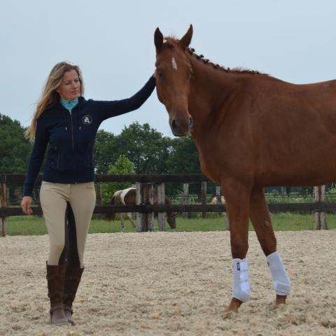 Wendy Bleekemolen emotional intelligence horsemanship