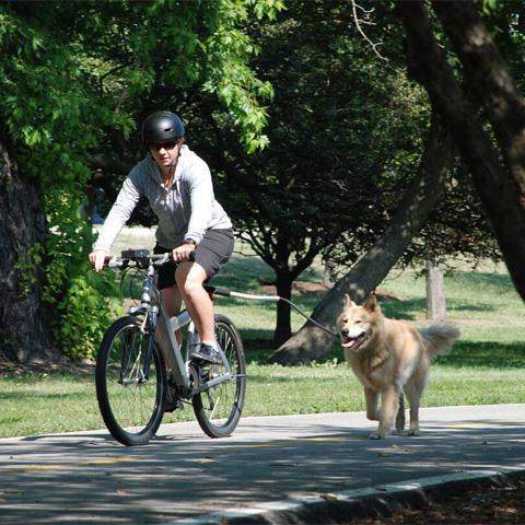 Altranet fietslijn Cycleash samen met Vetramil Paw wax