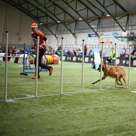 Foto: Living for Agility_PUUR Drainage 