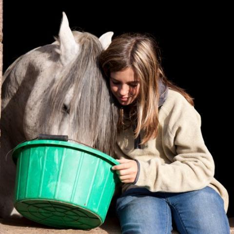 paard met lege emmer